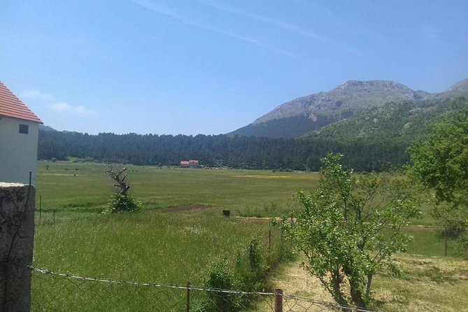 Private National Park Lovcen with food and wine tasting - Price and value: what $210.25 per person buys you in real-world terms