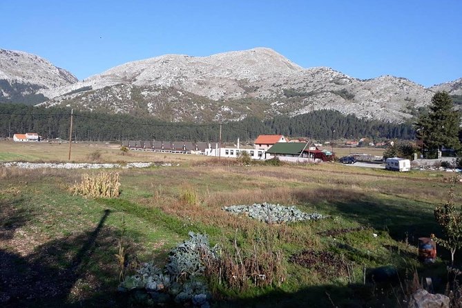 Private tour: Homemade food and wine tasting at my family home - Quick hits before you go
