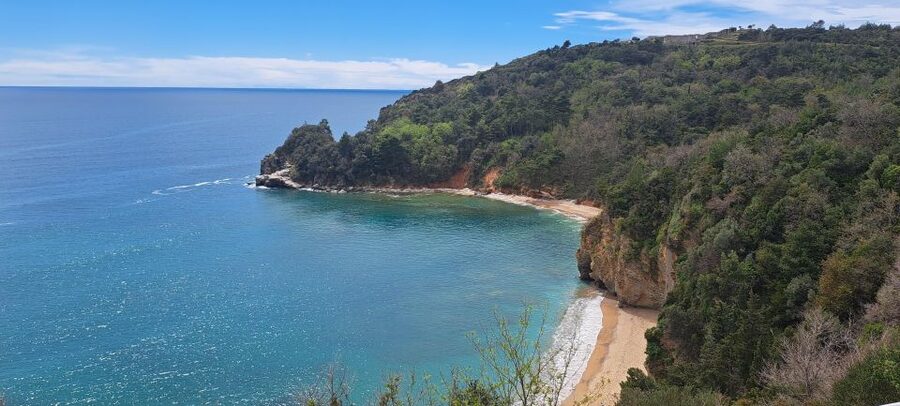 Private Tour: Montenegro Day Trip from Dubrovnik - Who This Private Tour Fits Best