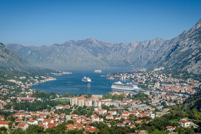 Private Transfer from Kotor to Tivat airport - The car and the driver: comfort you can feel in 20 minutes