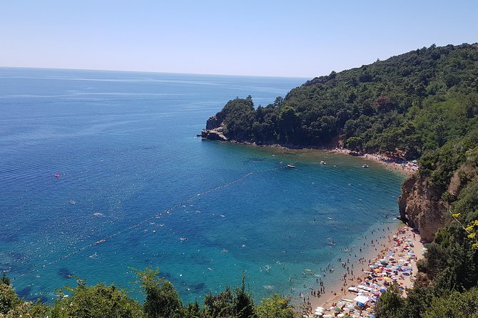 Private transfers from Podgorica Airport and city to Budva - The drive: clean car, safe driving, and local talk that helps