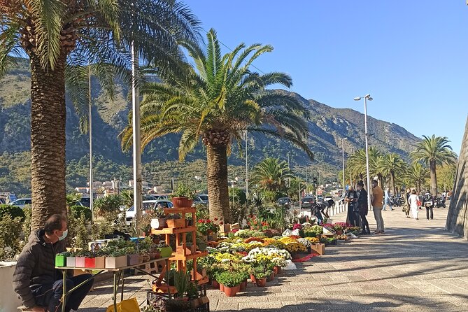 Private Walking tour with Wine and Food - Stop 2: Kotor Farmers Market tastings of olives, prosciutto, cheese, and rakija