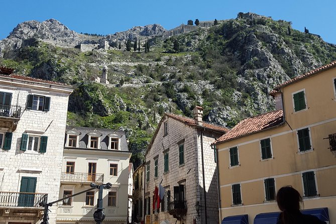 Private Walking tour with Wine and Food - What to eat and drink on this tour, and how to handle dietary needs
