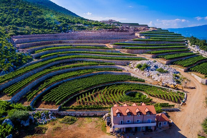 Private Wine Tasting Activity at Lipovac Winery - Quick Hits