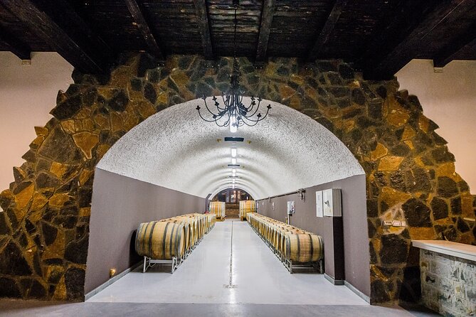 Private Wine Tasting Activity at Lipovac Winery - Price and What You Get for $36.12