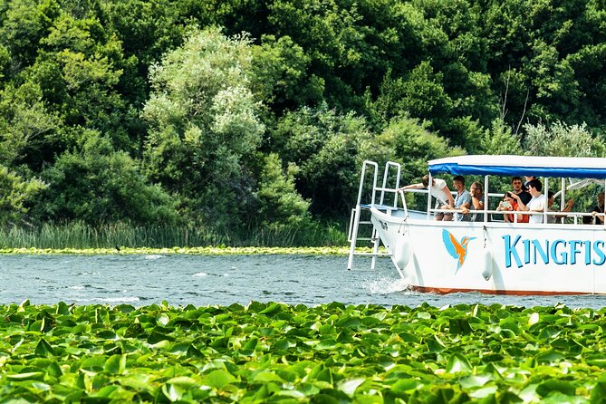 Skadar Lake & Crnojevića River: Swimming, Snacks & Wine - Skadar Lake National Park, lilies that make the lake look unreal