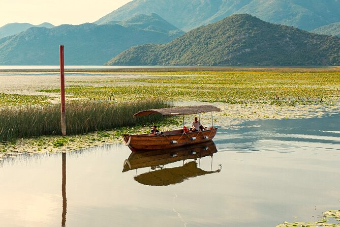 Skadar Lake National Park: Birdwatching & Photography Tour - The included extras that actually matter in the field