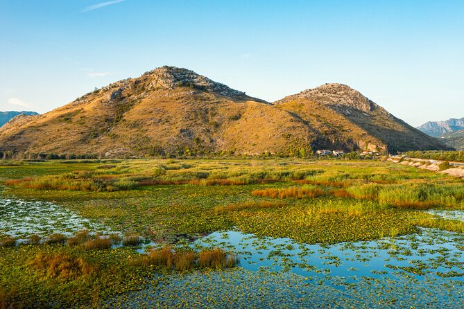 Skadar Lake National Park Guided Boat Tour with Wooden Boat - Skadar Lake National Park swim time and the wine on the way back
