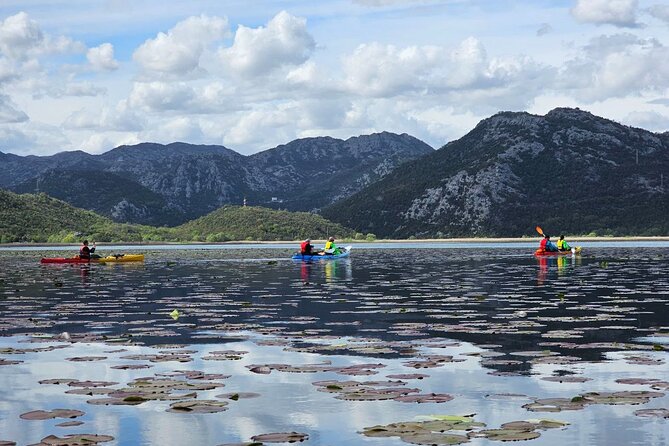 Skadar Lake on kayaks Experience with Spectacular Views - Key points I’d highlight before you go