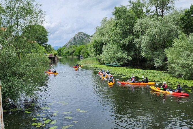 Skadar Lake on kayaks Experience with Spectacular Views - Rijeka Crnojevica: calm river paddling and arch-bridge town energy