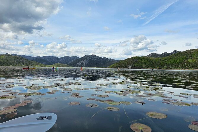 Skadar Lake on kayaks Experience with Spectacular Views - Zabljak Crnojevica: castle views and a first taste of the Skadar world
