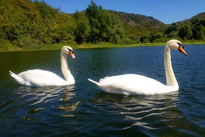 Skadar Lake & Virpazar return trip from Podgorica city - Pickup, Timing, and How the 3 to 4 Hours Feel