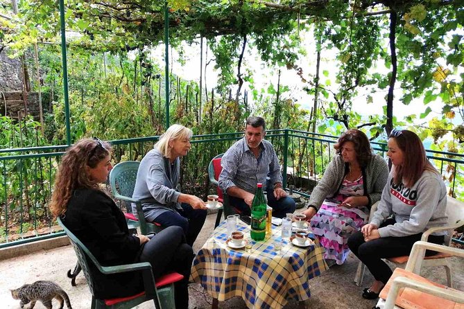 Unique gastro experience with locals in high hills above Budva! - Key moments you should care about