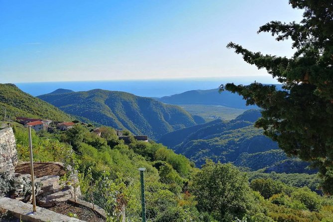 Unique gastro experience with locals in high hills above Budva! - A hilltop day above Budva, built around people
