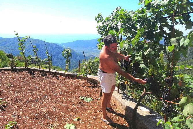 Unique gastro experience with locals in high hills above Budva! - Lunch at Rajko’s home: Kuzman family food, garden produce, and real loza