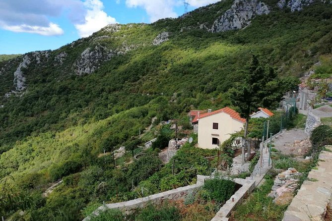 Unique gastro experience with locals in high hills above Budva! - The uphill ride: Budva bay views before the first stop