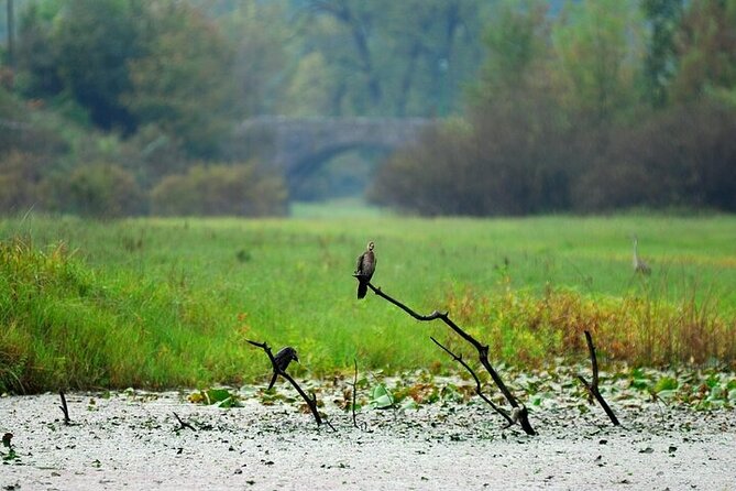 Virpazar Skadar Lake National Park Guided Boat Tour - Around-the-lake islands: why the 30 minutes matter