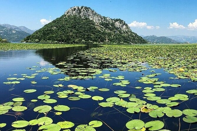 Virpazar Skadar Lake National Park Guided Boat Tour - Boarding at Boat Cruise Viktor in Virpazar