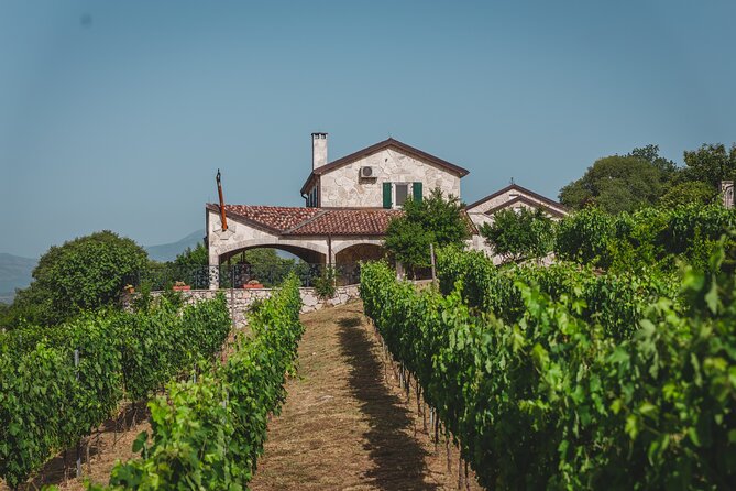 Wine tour- Family winery visit, food tasting & Skadar Lake boat cruise - Key points to know before you go